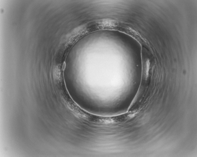 X0000059100715200510101218