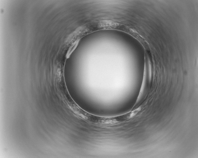 X0000059100716200510101218