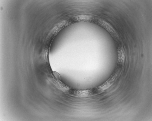 X0000059100717200510101218