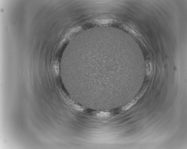 X0000059100718200510101218