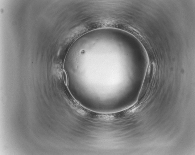 X0000059100719200510101218