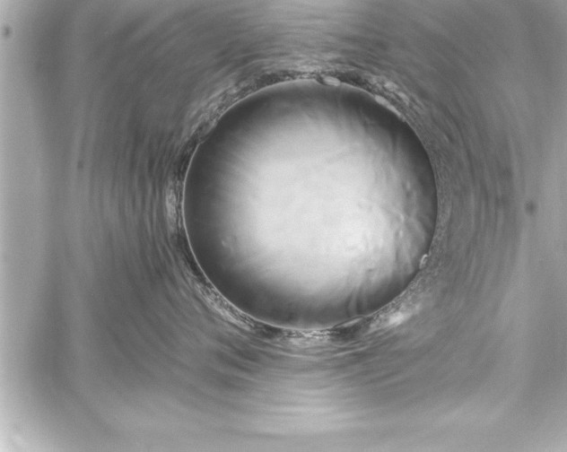 X0000059100720200510101218