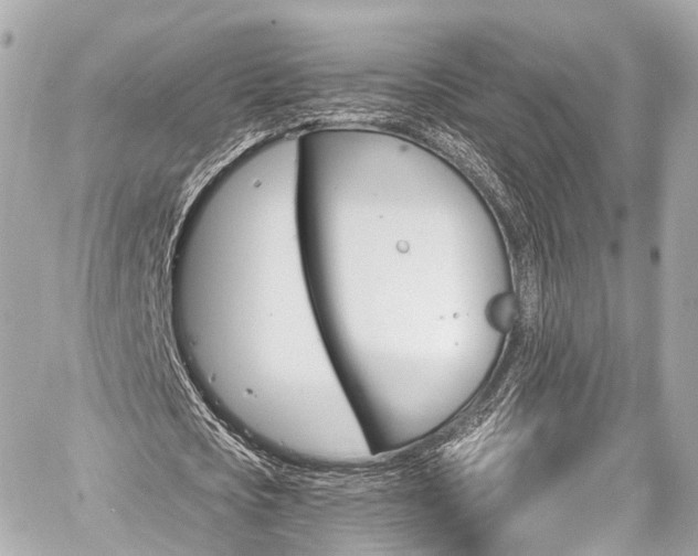 X0000059100721200510101217