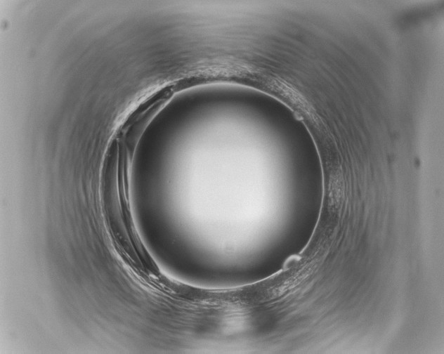 X0000059100722200510101217