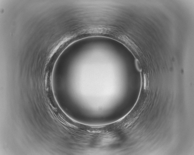 X0000059100723200510101217