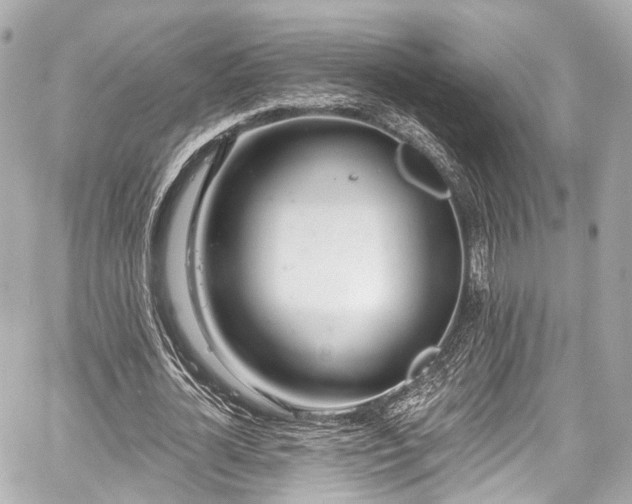 X0000059100724200510101217