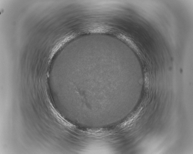 X0000059100725200510101217