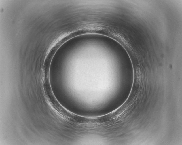 X0000059100726200510101217