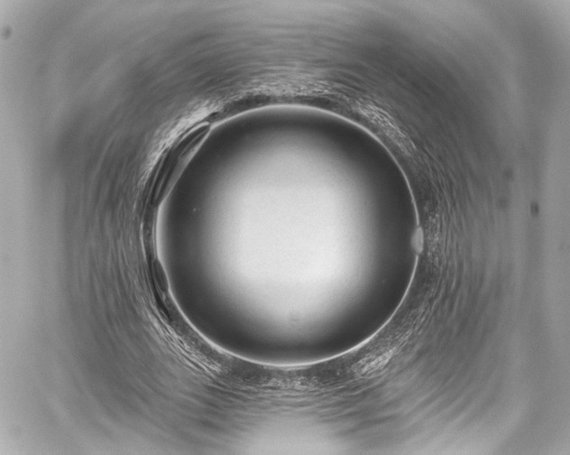 X0000059100727200510101217