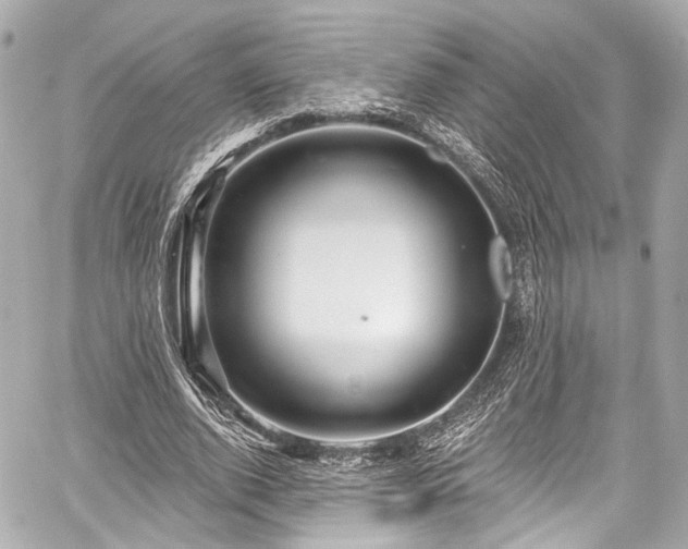 X0000059100728200510101217