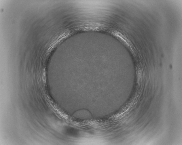 X0000059100729200510101218