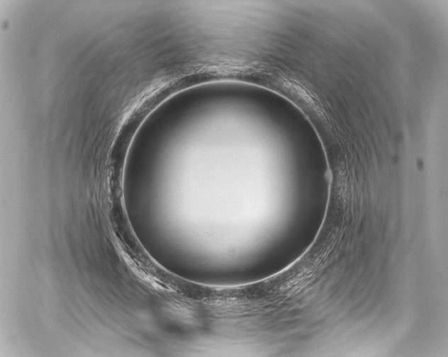 X0000059100730200510101218