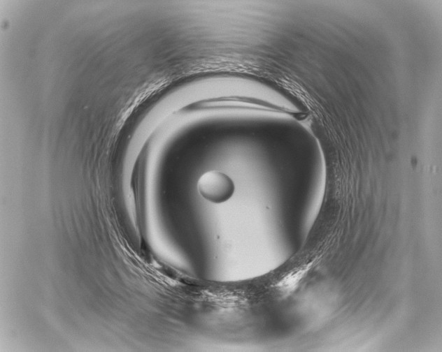 X0000059100731200510101218