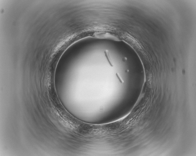 X0000059100732200510101218