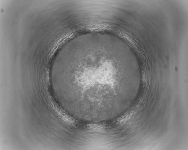 X0000059100733200510101218