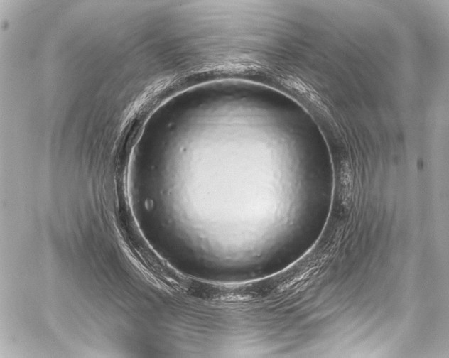 X0000059100734200510101218