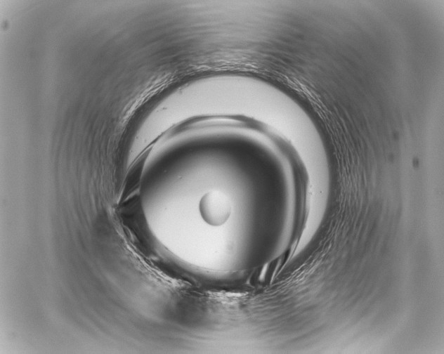 X0000059100735200510101218