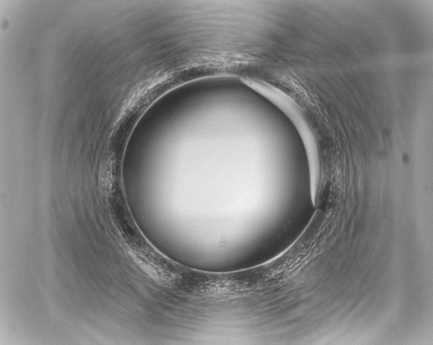 X0000059100736200510101218