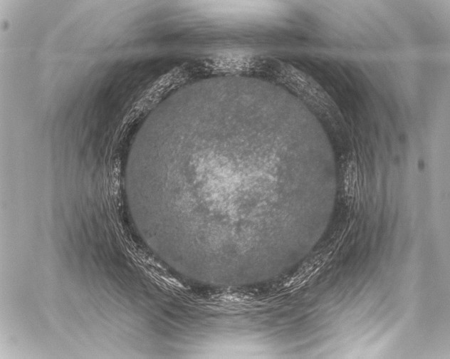 X0000059100737200510101218