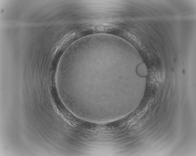 X0000059100738200510101218