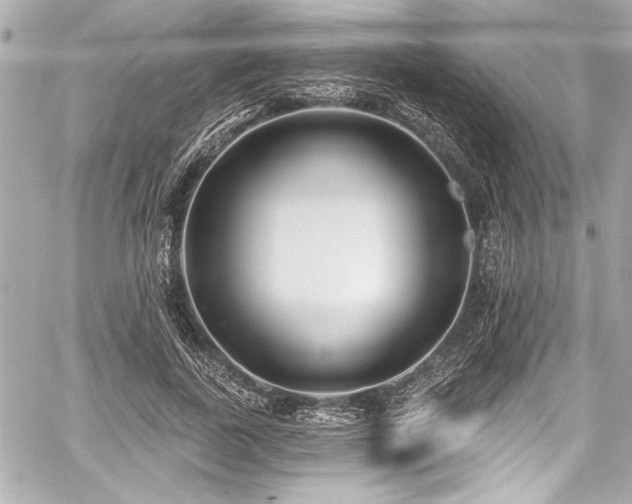 X0000059100739200510101218