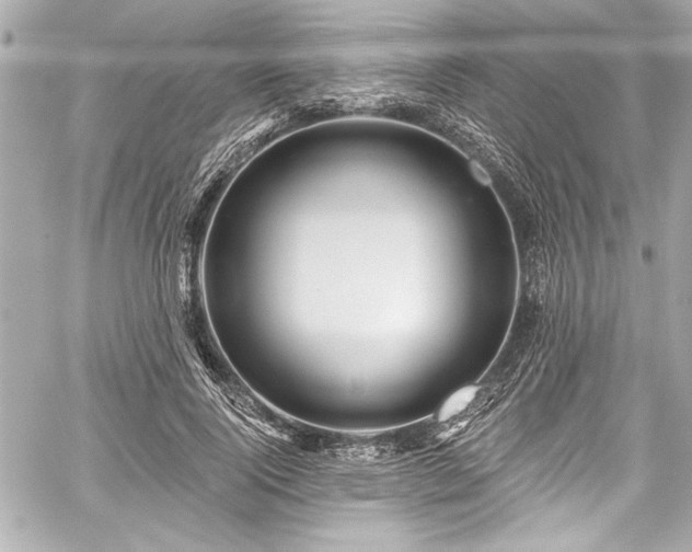 X0000059100740200510101218