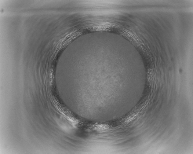 X0000059100741200510101218