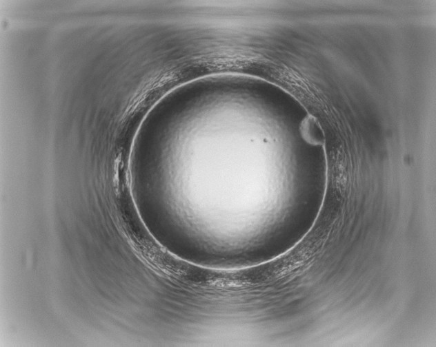 X0000059100742200510101218