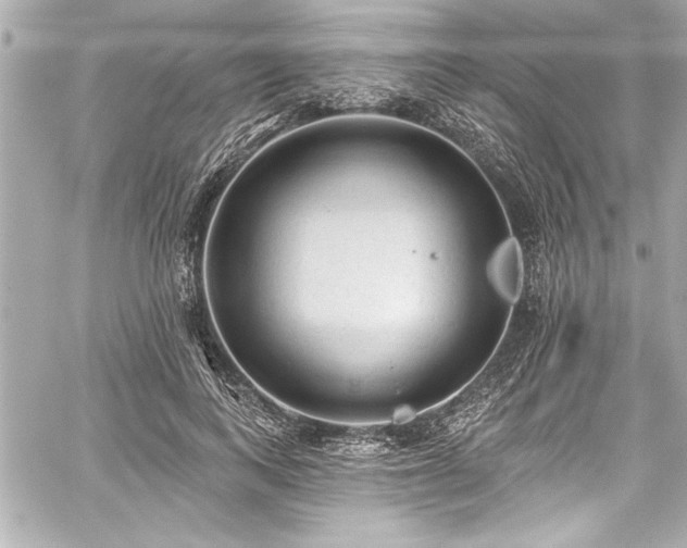 X0000059100743200510101218