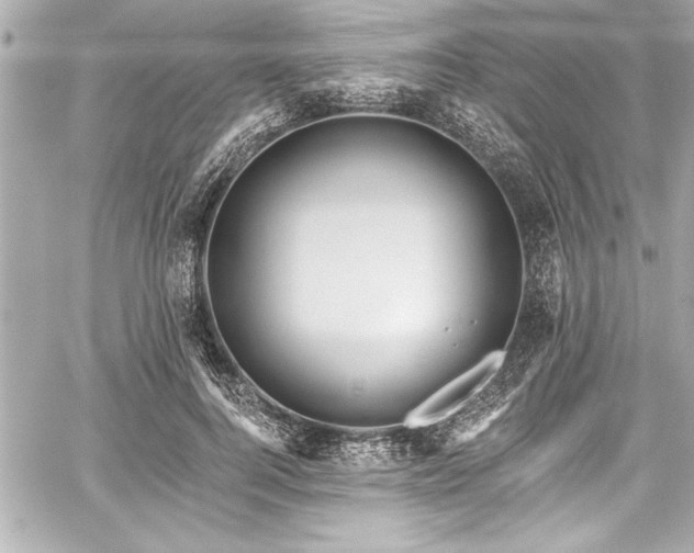 X0000059100744200510101218