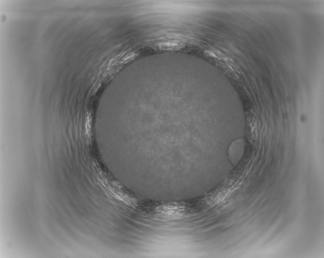 X0000059100745200510101218