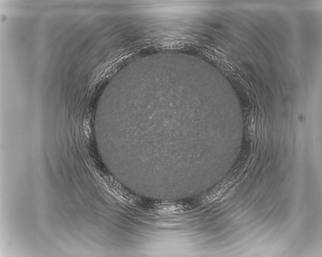 X0000059100746200510101218