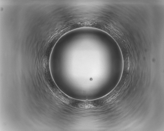 X0000059100747200510101218