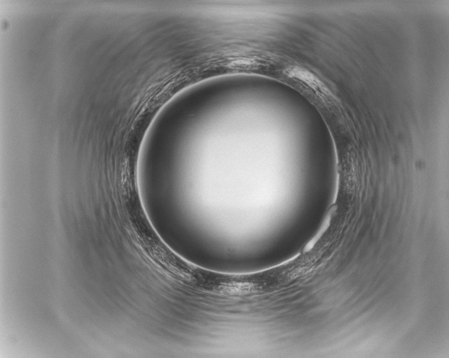 X0000059100748200510101218