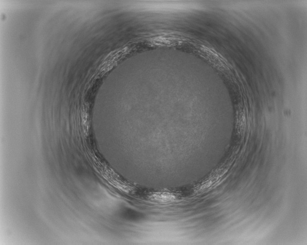 X0000059100749200510101218