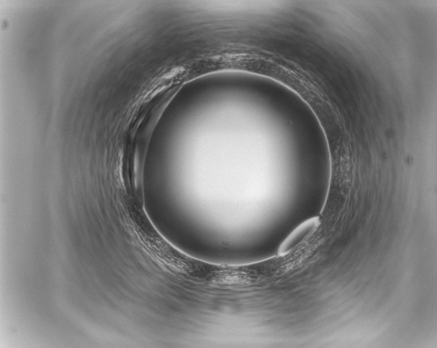 X0000059100750200510101218