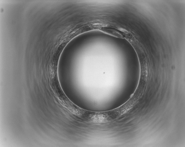 X0000059100751200510101218