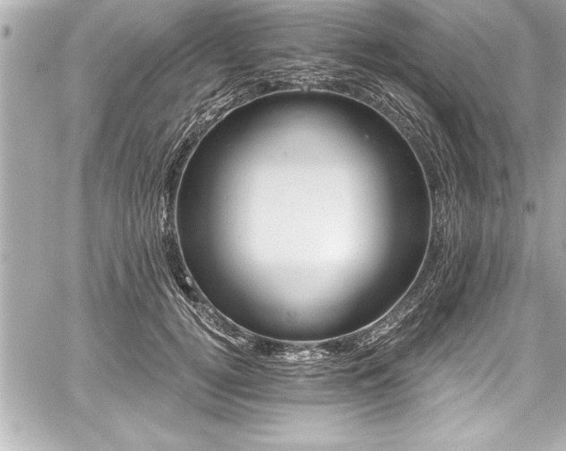 X0000059100752200510101218