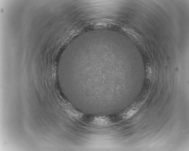 X0000059100753200510101218