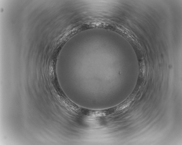 X0000059100754200510101218