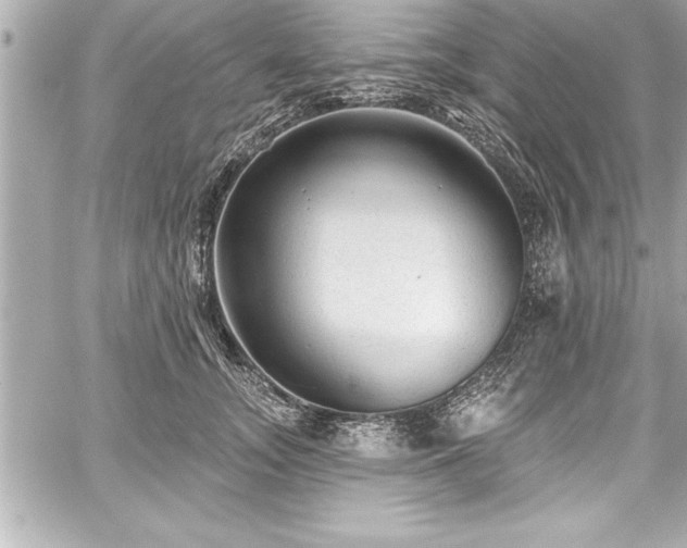 X0000059100755200510101218