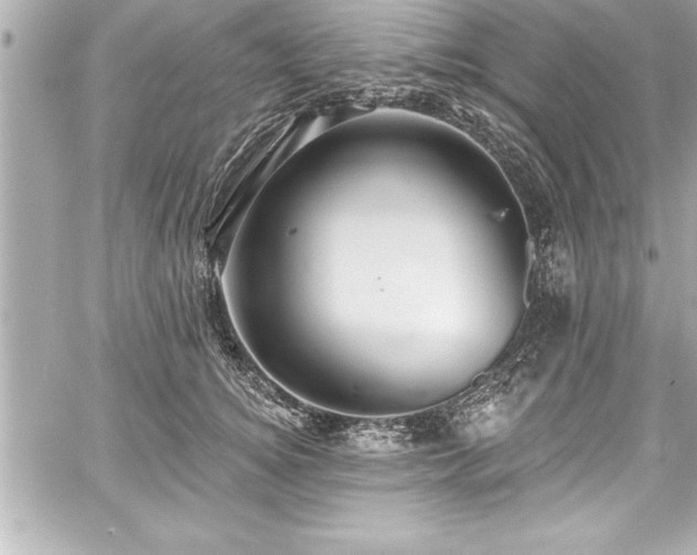 X0000059100756200510101218