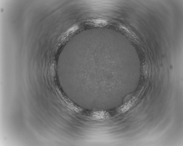 X0000059100757200510101218