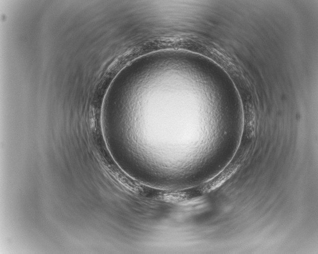 X0000059100758200510101218