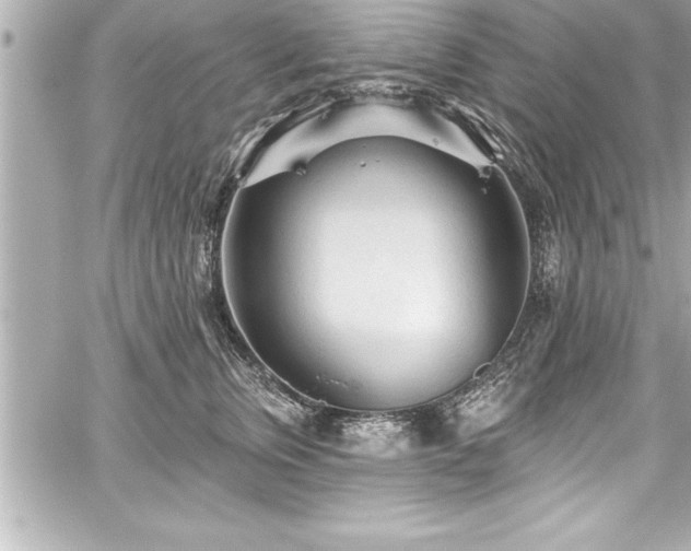 X0000059100759200510101218