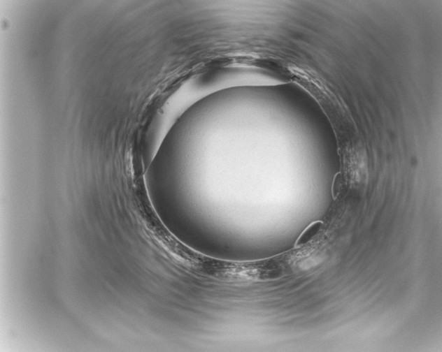 X0000059100760200510101218