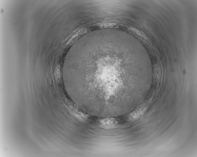 X0000059100761200510101218