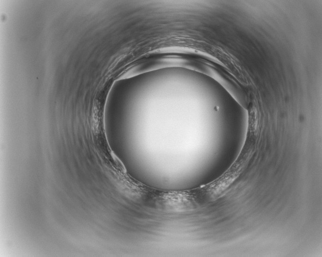 X0000059100762200510101218