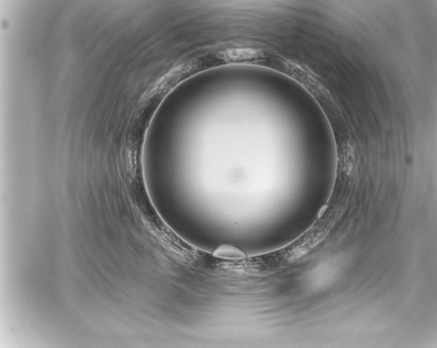 X0000059100763200510101218