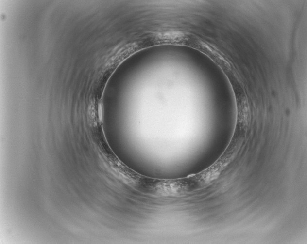 X0000059100764200510101218